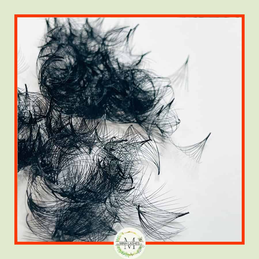 10D Premade Fans-0.07 (500 FANS)