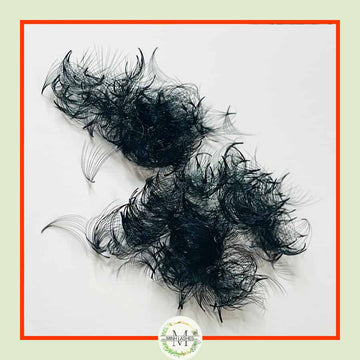 10D Premade Fans-0.07 (500 FANS)