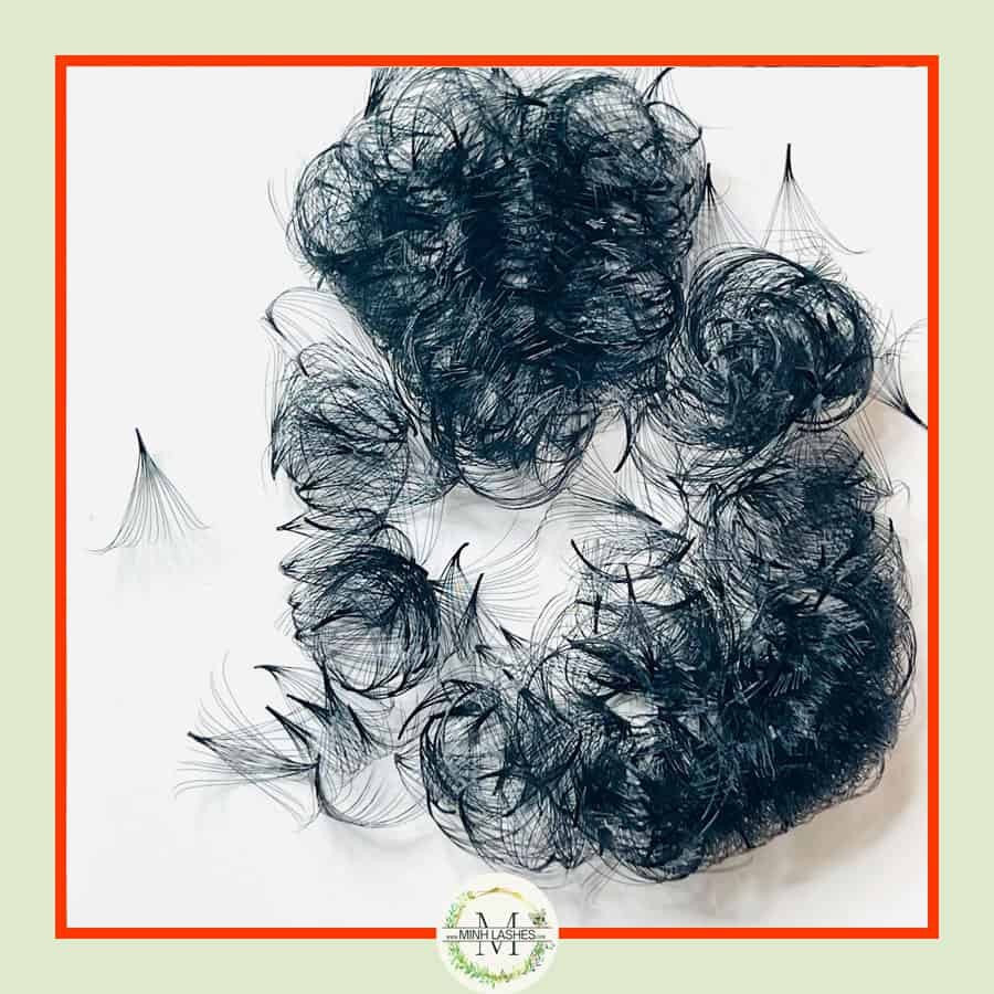 14D Premade Fans-0.05 (500 FANS)