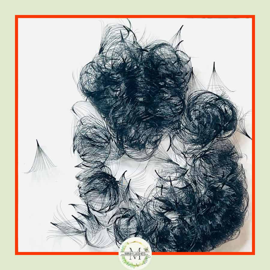 14D Premade Fans-0.05-MIXED BOX (800 FANS ) (9mm-16mm)