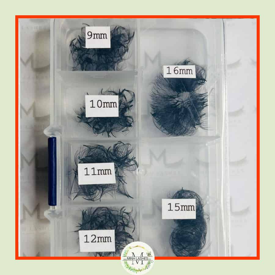 14D Premade Fans-0.05-MIXED BOX (800 FANS ) (9mm-16mm)