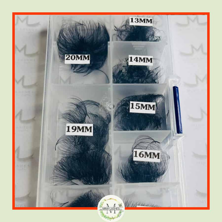 14D Premade Fans-D-0.05- MIXED BOX-800 FANS (13mm-20mm)- LONG SIZE