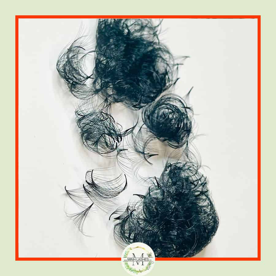 14D Premade Fans-0.05 (500 FANS)