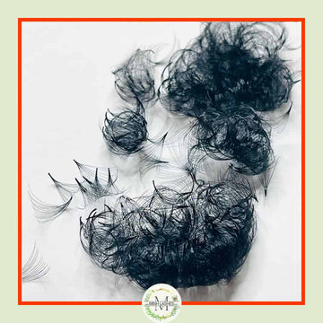 14D Premade Fans-0.05 (500 FANS) LONG SIZE