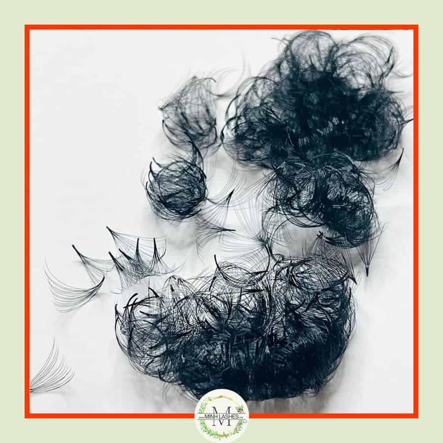 14D Premade Fans-0.05 (500 FANS)