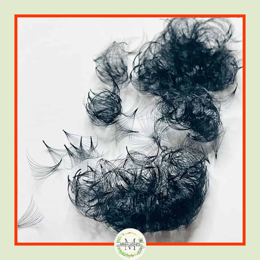 14D Premade Fans-D-0.05- MIXED BOX-800 FANS (13mm-20mm)- LONG SIZE