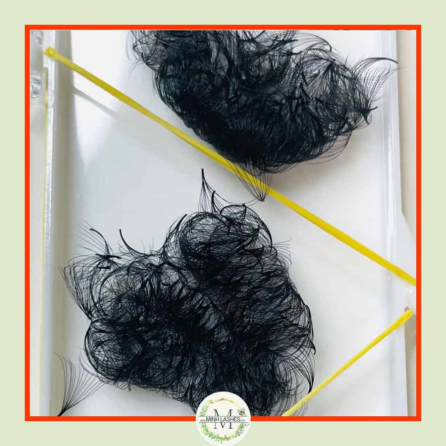 14D Premade Fans-0.05 (500 FANS)