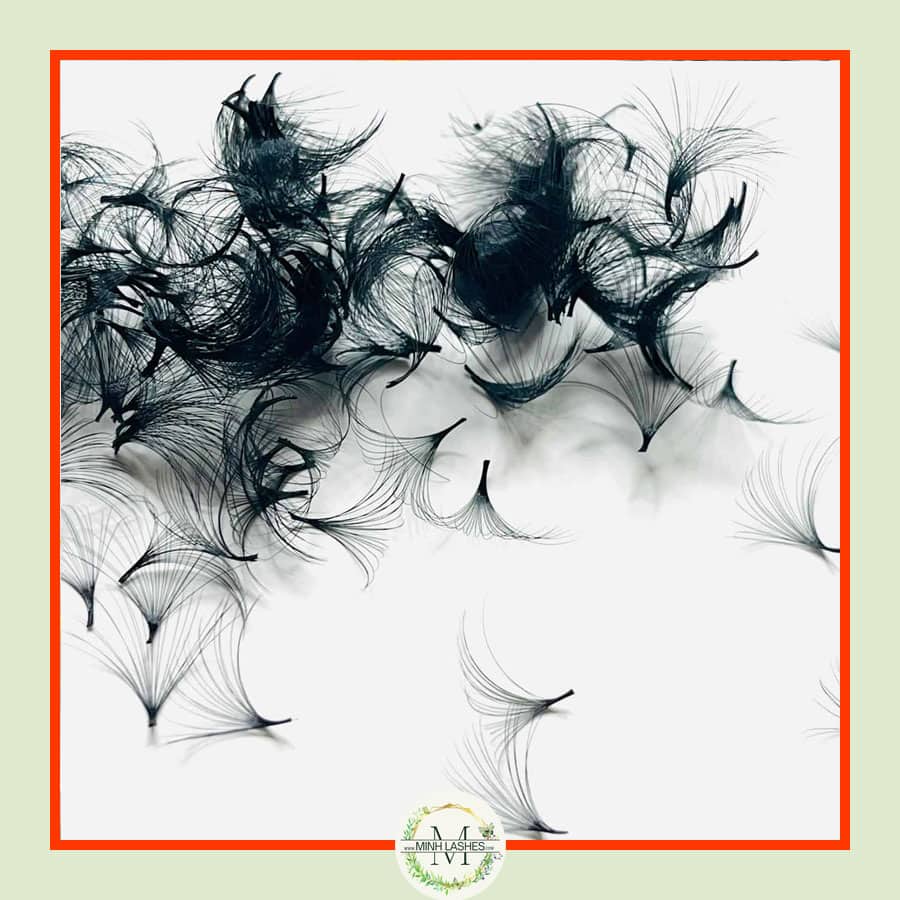 Mega Volume Fans-0.05 D Curl (250 Fans)