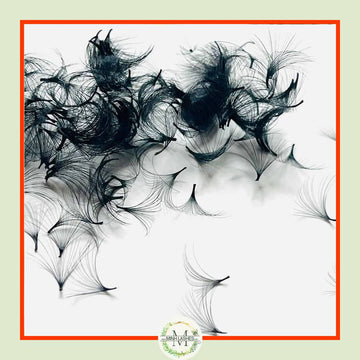 Mega Volume Fans-0.05 D Curl (250 Fans)