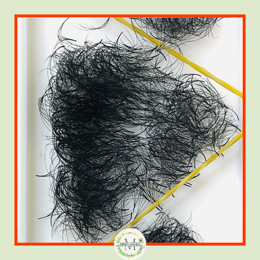 5D Premade Fans-0.07 (1000 FANS)