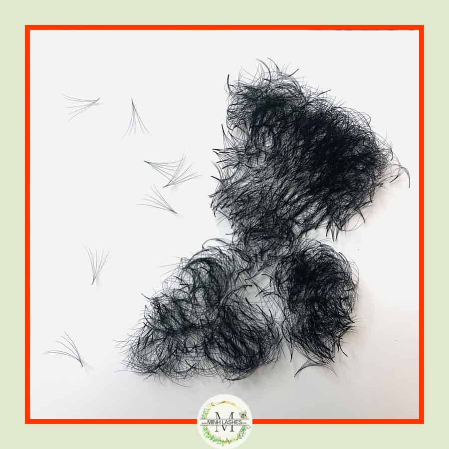 5D Premade Fans-0.07-MIXED BOX (1100 FANS ) (9mm-15mm)