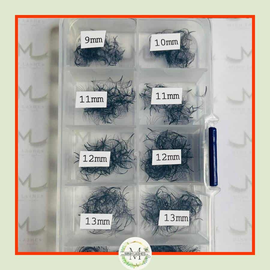 5D Premade Fans-0.07-MIXED BOX (1100 FANS ) (9mm-15mm)