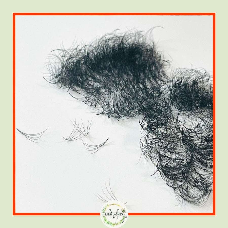 5D Premade Fans-0.07 (1000 FANS)