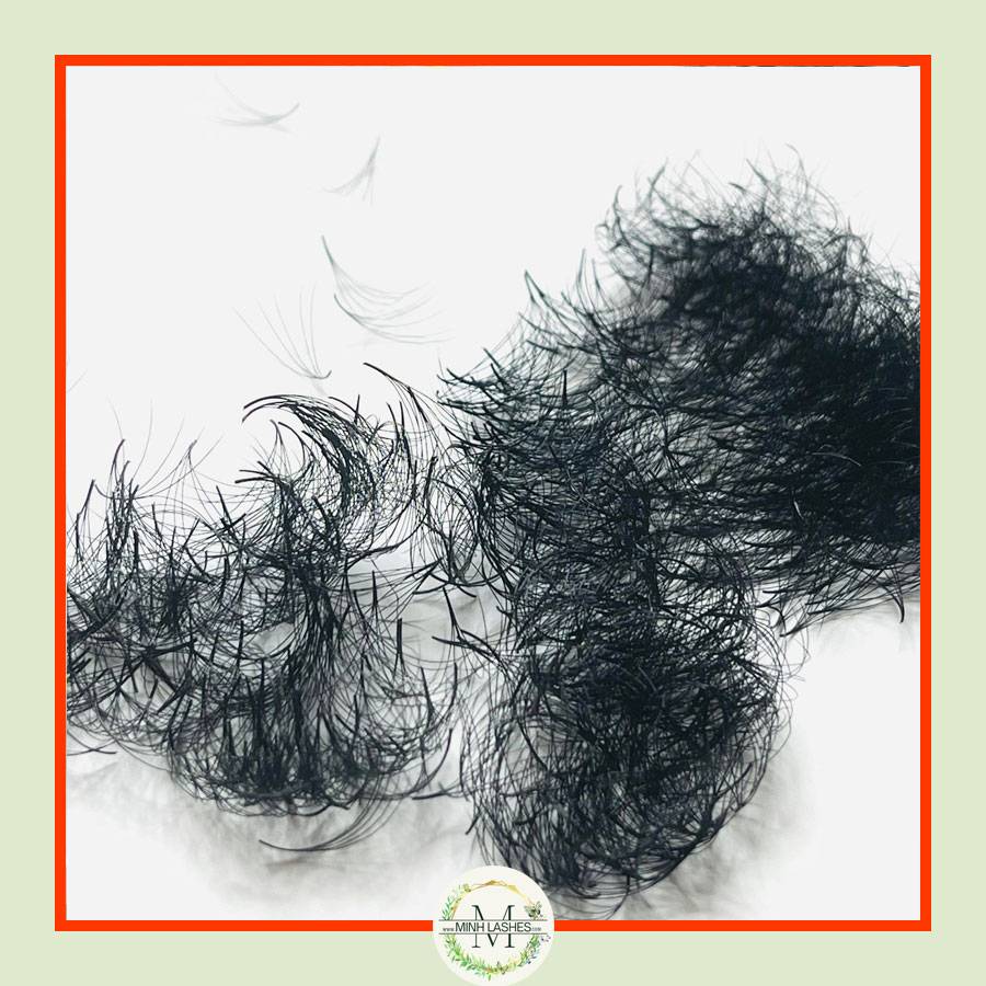 5D Premade Fans-0.07 (1000 FANS)