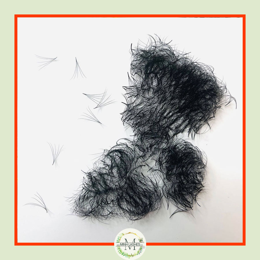 5D Premade Fans-0.07 (1000 FANS)