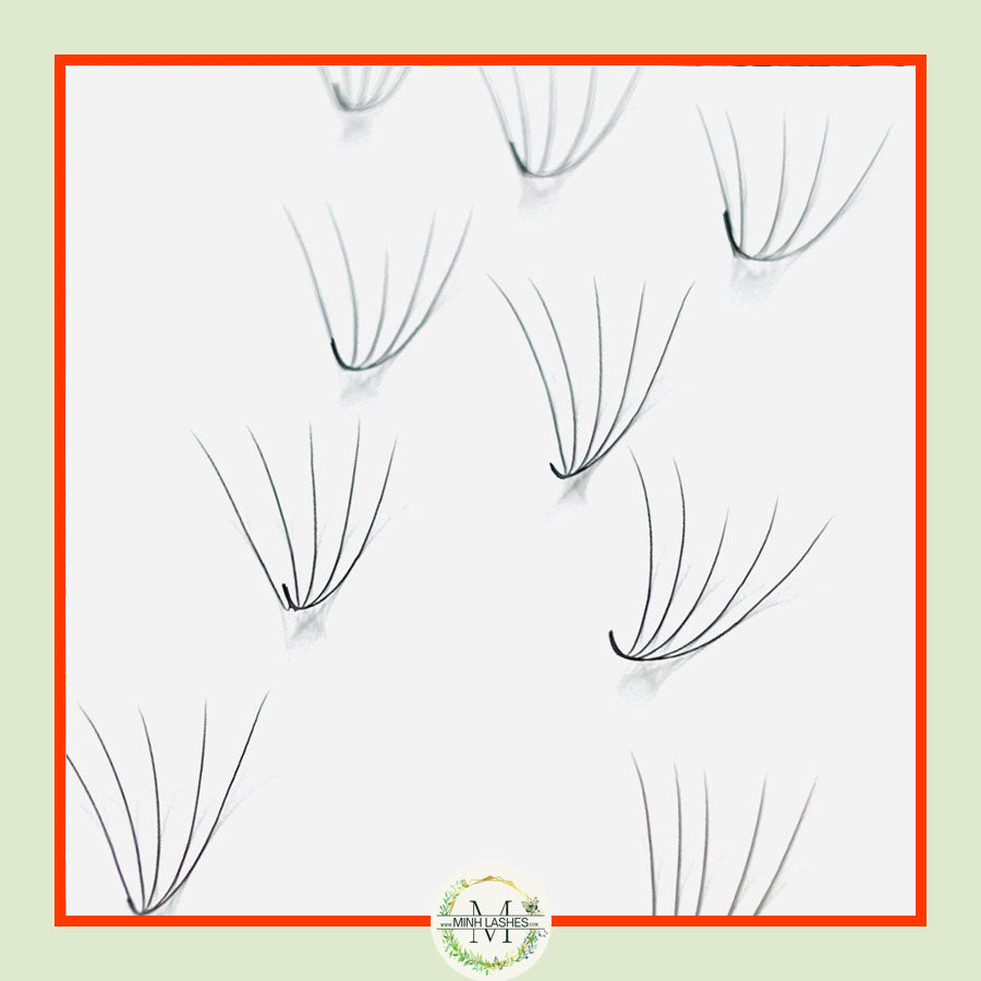 5D Premade Fans-0.07 (1000 FANS)