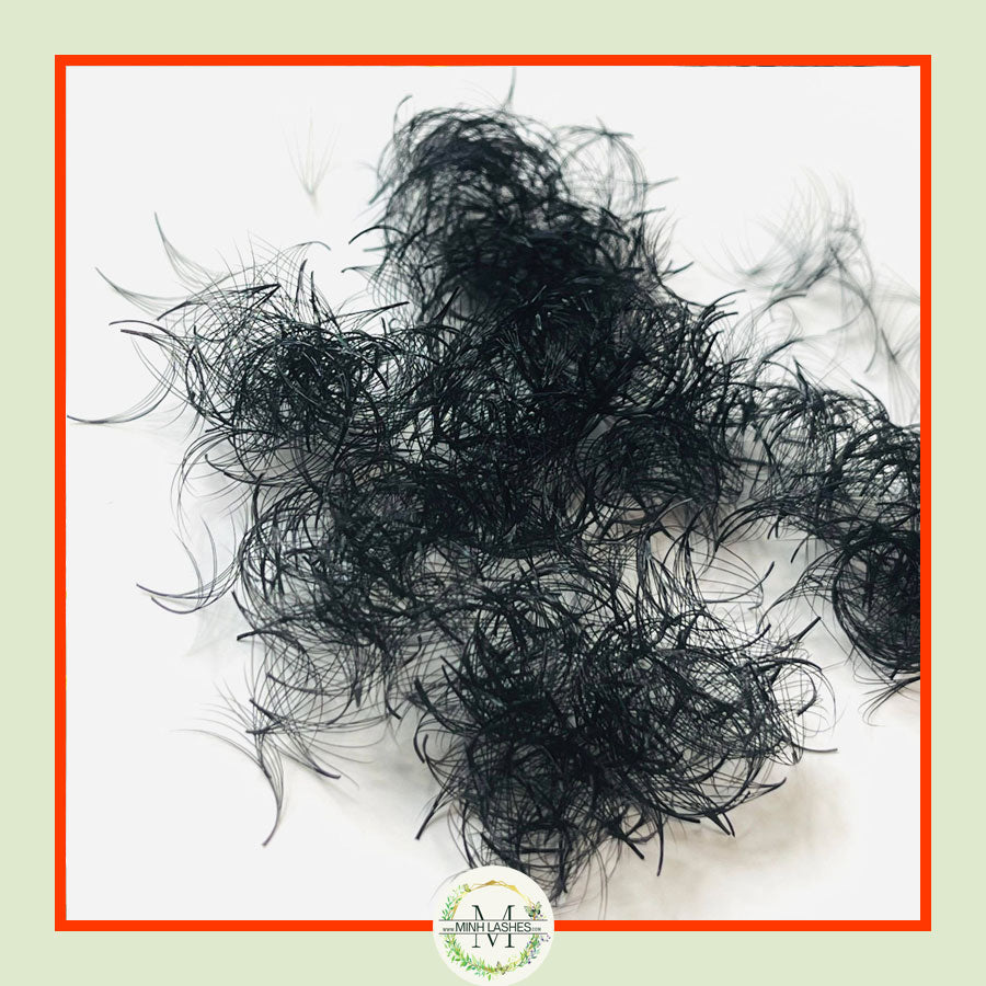 6D Premade Fans-0.07 (1000 FANS)