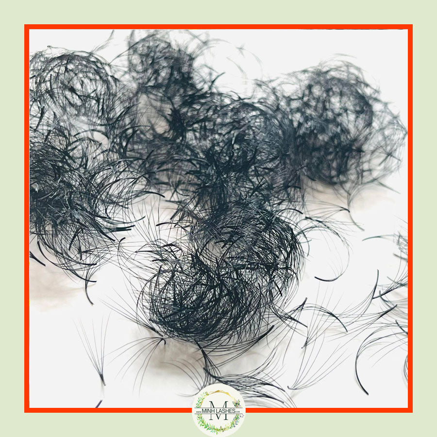 6D Premade Fans-0.07 (1000 FANS)