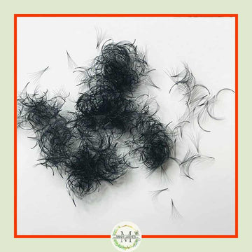 6D Premade Fans-0.07 (1000 FANS)