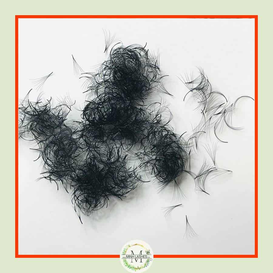 6D Premade Fans-0.07 (1000 FANS)