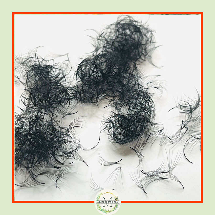 6D Premade Fans-0.07 (1000 FANS)