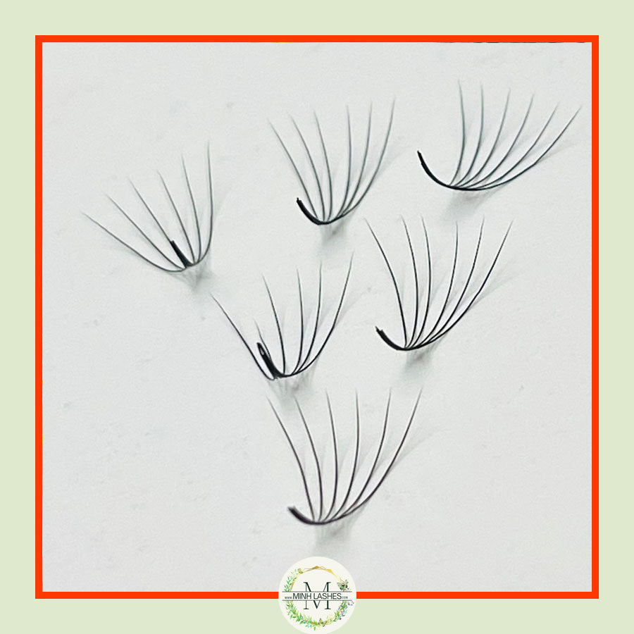 6D Premade Fans-0.07 (1000 FANS)