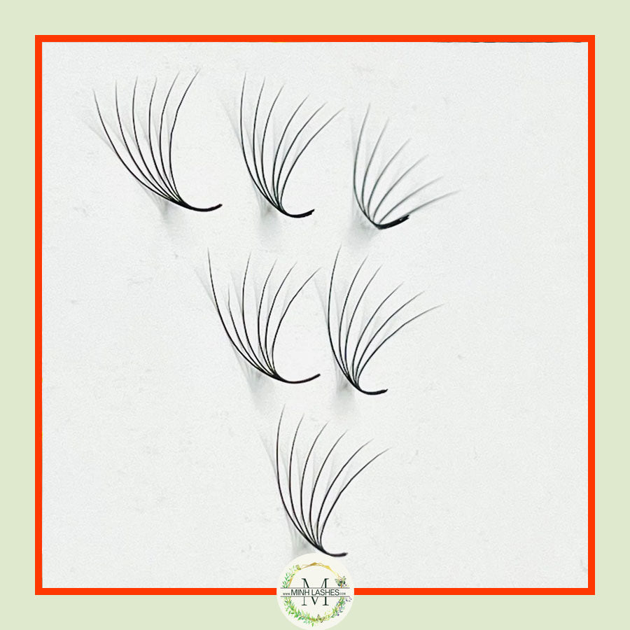 6D Premade Fans-0.07 (1000 FANS)