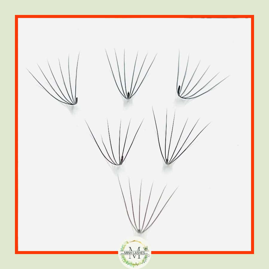 6D Premade Fans-0.07 (1000 FANS)