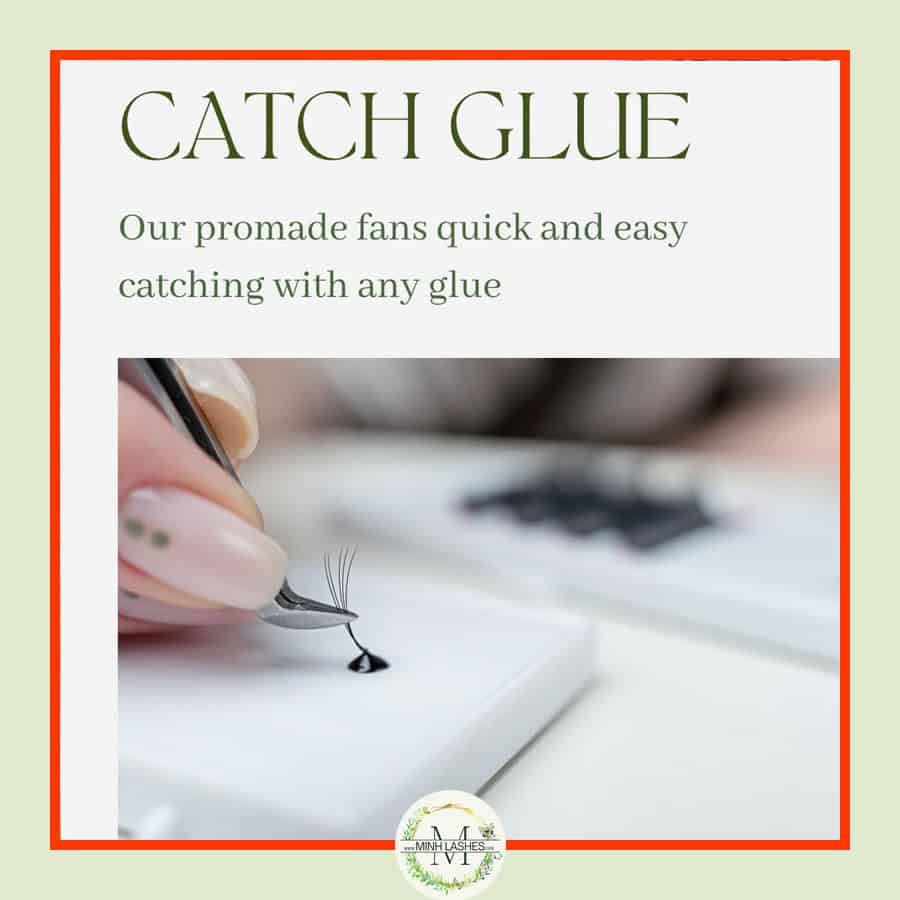 14D Premade Fans-0.05-MIXED BOX (800 FANS ) (9mm-16mm)