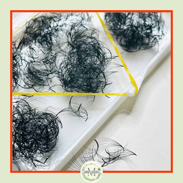 7D Premade Fans-0.07 (1000 FANS)