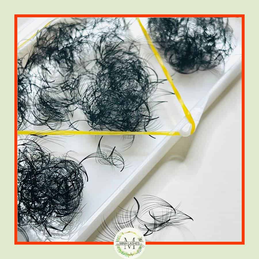 7D Premade Fans-0.07 (1000 FANS)