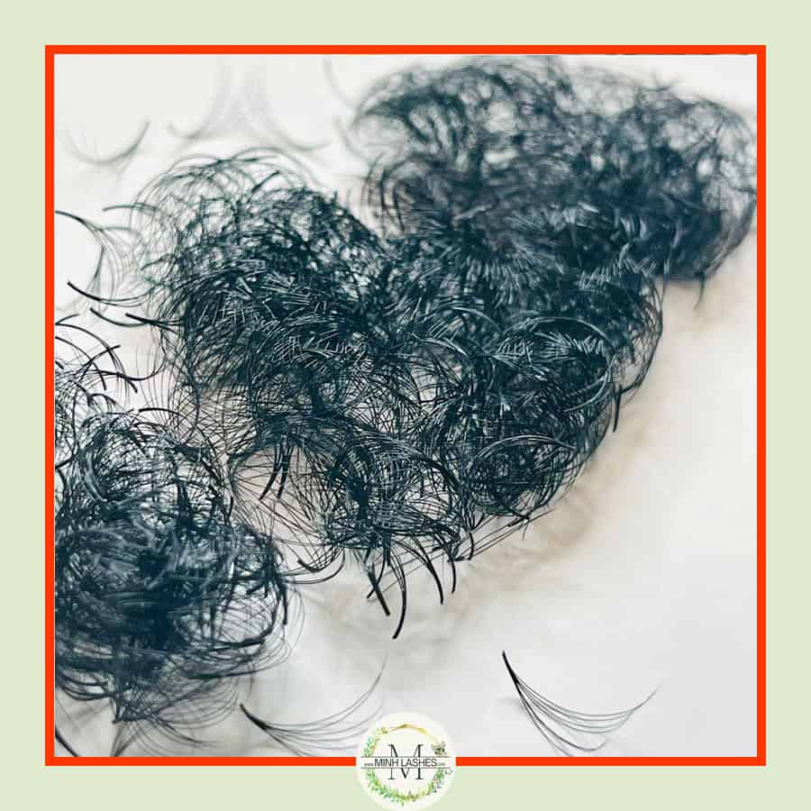 7D Premade Fans-0.07 (1000 FANS)