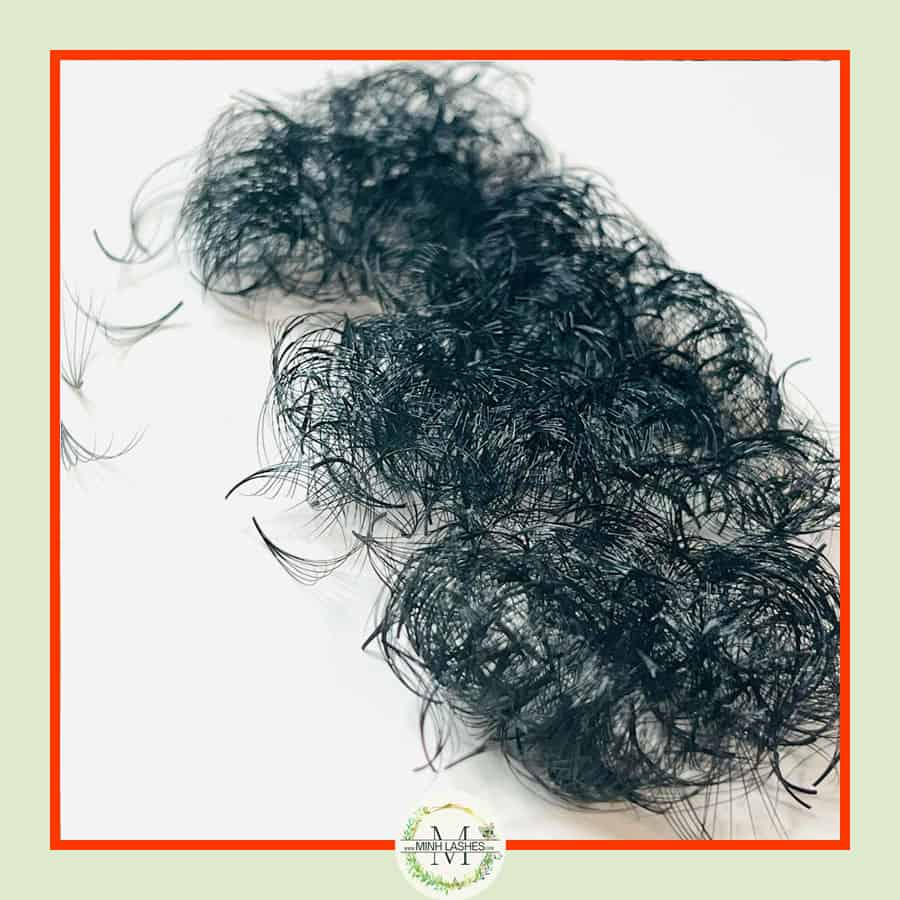 7D Premade Fans-0.07 (1000 FANS)