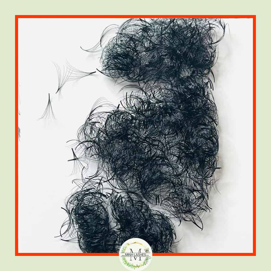 7D Premade Fans-0.07 (1000 FANS)