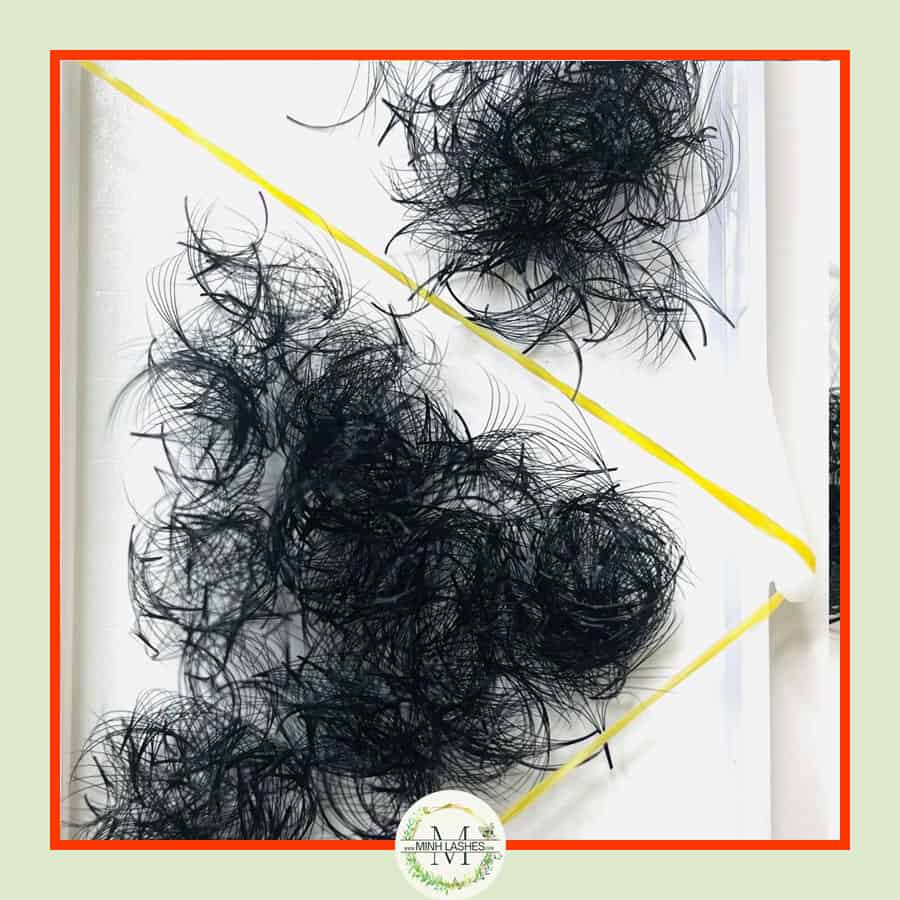 7D Premade Fans-0.07 (1000 FANS)