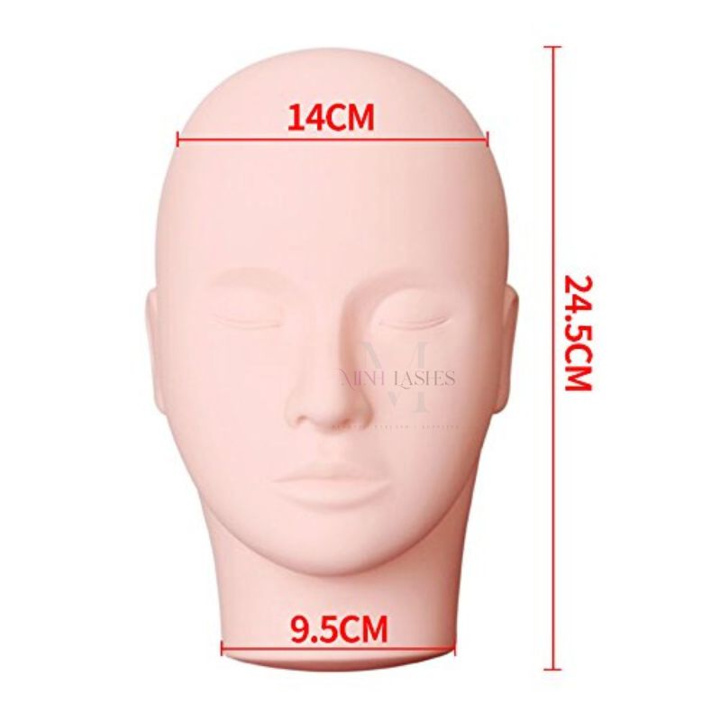 Size and measurement details of Minh Lashes lash training mannequin head
