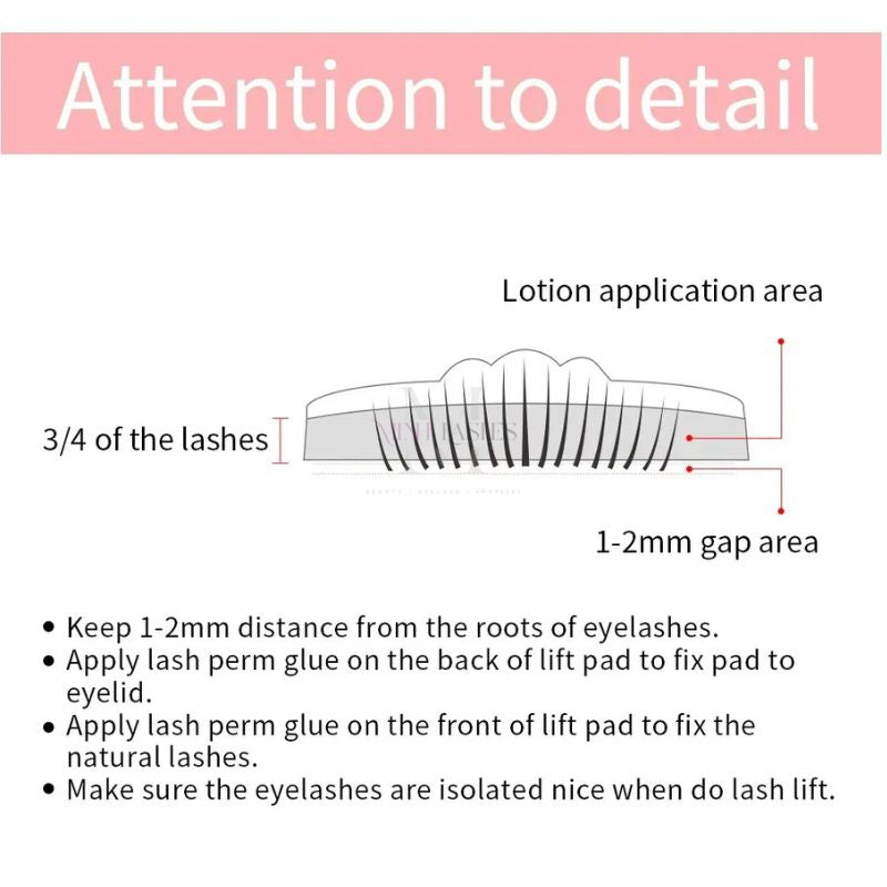 Lash lift application diagram showing correct lotion placement area