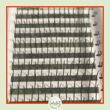 Wispy Spike Beauty Mixed Size 9mm to 16mm