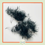 10D Premade Fans-0.07 (500 FANS) 10D Premade Fans-0.07 (500 FANS)