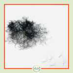 3D Premade Fans – 0.07 (1000 FANS) 3D Premade Fans – 0.07 (1000 FANS)