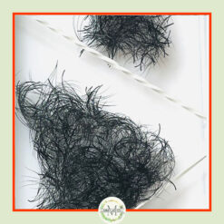 4D Premade Fans -0.07