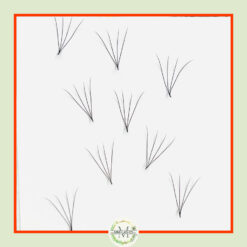 4D Premade Fans -0.07