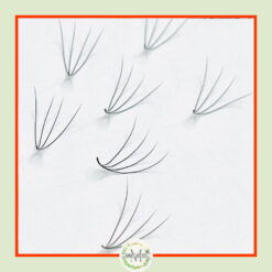 4D Premade Fans -0.07