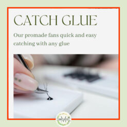 4D Premade Fans -0.07