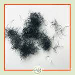 6D Premade Fans-0.07 (1000 FANS) 6D Premade Fans-0.07 (1000 FANS)