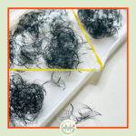 7D Premade Fans-0.07 (1000 FANS) 7D Premade Fans-0.07 (1000 FANS)