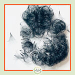 14D Premade Fans-0.05 (500 FANS) 14D Premade Fans-0.05 (500 FANS)