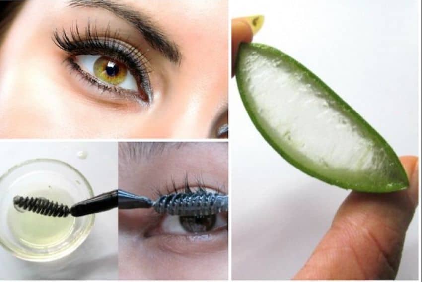 How to nourish eyelashes with vitamin E and aloe